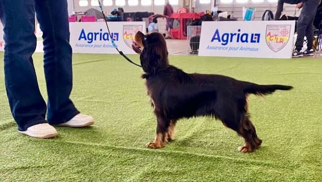 Arcane Bloom Of Sweet Little Kings